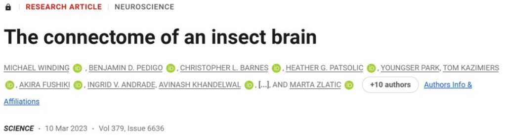 Science：里程碑式的突触分辨率脑图谱
