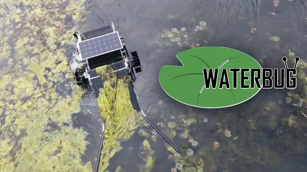 Waterbug Aquatic Havester 60 second video Cleaning Algae & Weeds in Lake