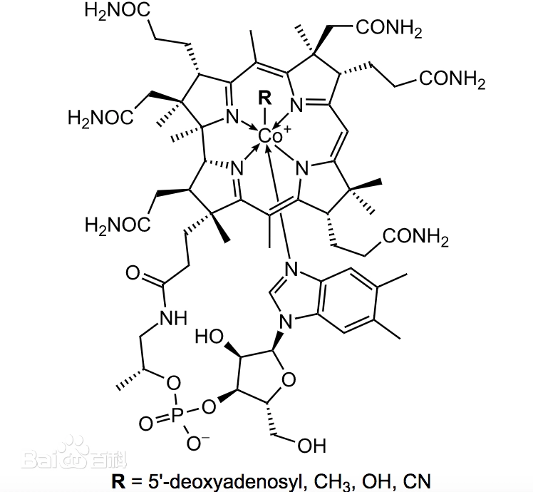 维生素B12_钴胺素